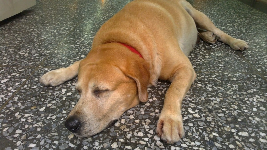 Hidden Costs of Ignoring AI: Why Manufacturing Marketers Can’t Afford to Wait