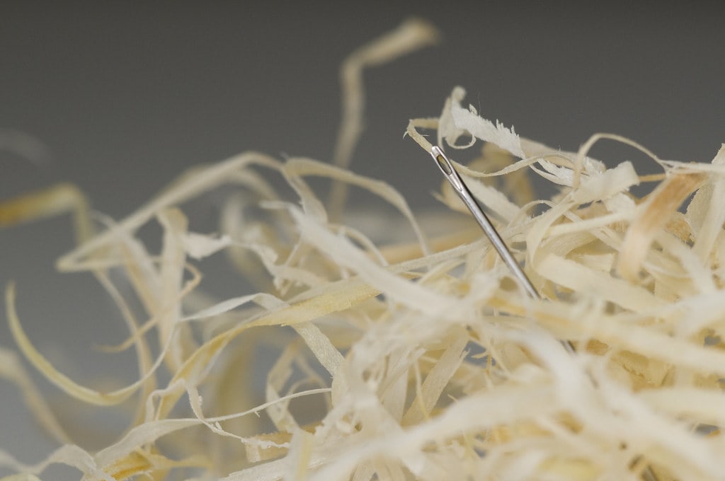 Hiring a WordPress Developer: What to Ask and What to Expect (2026 Guide)